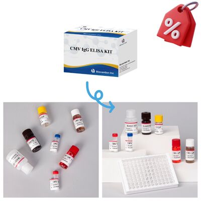 96T CMV ELISA Test Kit con rilevazione colorimetrica e metodo sandwich per anticorpi contro il citomegalovirus