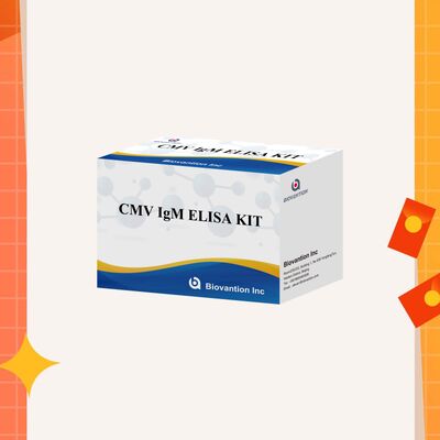 96T CMV ELISA Test Kit con rilevazione colorimetrica e metodo sandwich per anticorpi contro il citomegalovirus