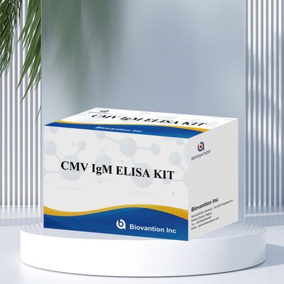 96T CMV ELISA Test Kit con rilevazione colorimetrica e metodo sandwich per anticorpi contro il citomegalovirus