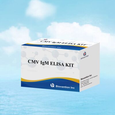 96T CMV ELISA Test Kit con rilevazione colorimetrica e metodo sandwich per anticorpi contro il citomegalovirus