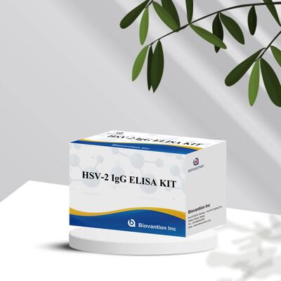 Kit di test Elisa per il rilevamento di anticorpi IgG HSV-2 ad alta sensibilità e alta specificità con durata di conservazione di 18 mesi