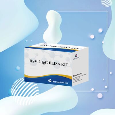 Kit di test Elisa per il rilevamento di anticorpi IgG HSV-2 ad alta sensibilità e alta specificità con durata di conservazione di 18 mesi