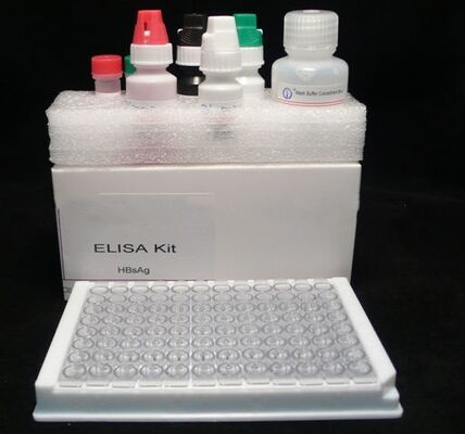 Kit ELISA HBsAg ad alta sensibilità e alta specificità per l'epatite B con tempo di analisi di 2-3 ore