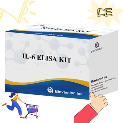 Kit ELISA umano per IL-6 Interleuchina-6 con accuratezza del 99%, durata di conservazione di 24 mesi e 96 test/kit