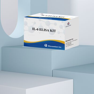 Kit ELISA umano per IL-6 Interleuchina-6 con accuratezza del 99%, durata di conservazione di 24 mesi e 96 test/kit