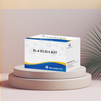 Kit ELISA umano per IL-6 Interleuchina-6 con accuratezza del 99%, durata di conservazione di 24 mesi e 96 test/kit