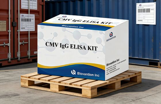 Laboratorio o ospedale Kit di prova CMV IgG Elisa ad alta precisione