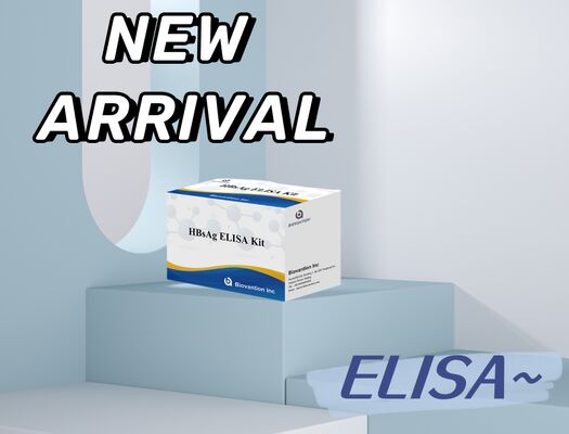 Hepatitis B Virus Surface Antigen ELISA Test Kit with 18 Months Shelf Life, High Sensitivity, and 2-3 Hours Assay Time