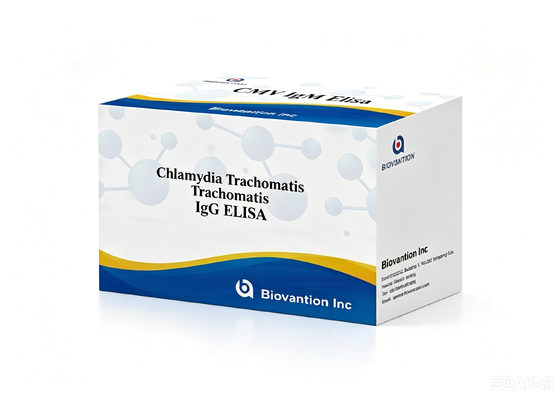 Anticorpi contro Chlamydia trachomatis (Ct) IgG ELISA Test Kit Siero/Plasma