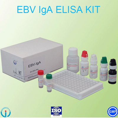Esemplare di EBV-VCA IgA Ab Test ELISA Kit Enzyme Immunoassay Test Plasma