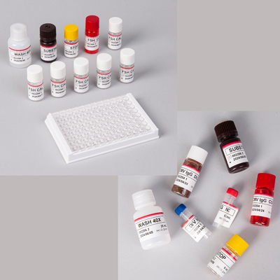 Kit Elisa Pro-BNP umano / Kit Elisa peptide natriuretico pro-cervello
