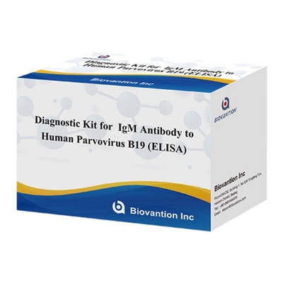 Kit diagnostico per parvovirus umano B19 IgM ELISA anticorpo ideale per eritema infettivo e complicazioni in gravidanza