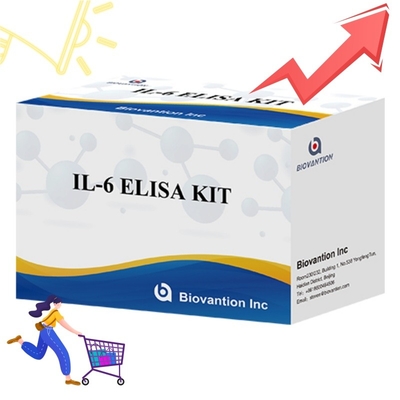 Kit ELISA ad alta sensibilità per il rilevamento dell'IL6 Reagenti di ricerca affidabili per l'analisi accurata delle citochine