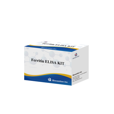 Biovantion Kit di prova per la ferritina Elisa ad alta sensibilità Rilevazione quantitativa per diagnosi clinica e ricerca Utilizzare campioni di plasma del siero umano