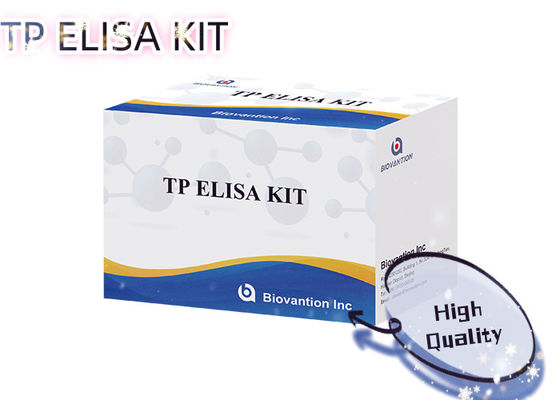 Kit ELISA per il test della sifilide TP 96T per la rilevazione di anticorpi contro il Treponema Pallidum nel siero umano