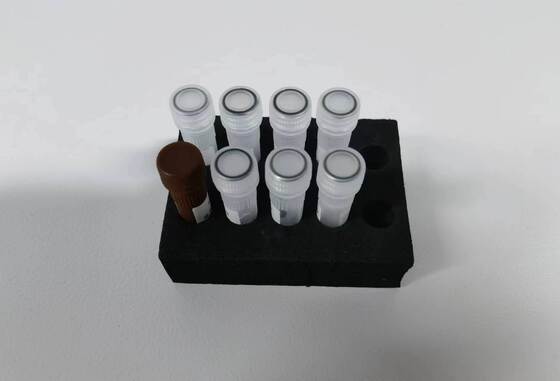 Test PCR della dengue rilevazione di alta qualità con 48 test