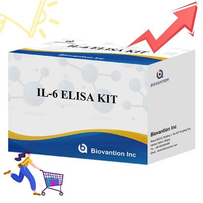 Kit ELISA umano per IL-6 Interleuchina-6 con accuratezza del 99%, durata di conservazione di 24 mesi e 96 test/kit