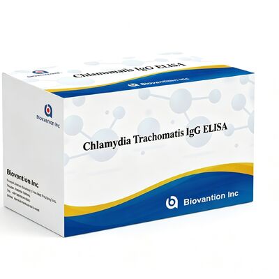 Anticorpi contro Chlamydia trachomatis (Ct) IgG ELISA Test Kit Siero/Plasma
