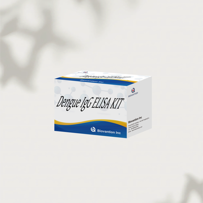 Kit di test per l'IgG ELISA 96T per il virus della dengue umana